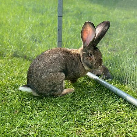 Villa Wypoczynek Na Mazurach U Sebka Łukta Esterno foto