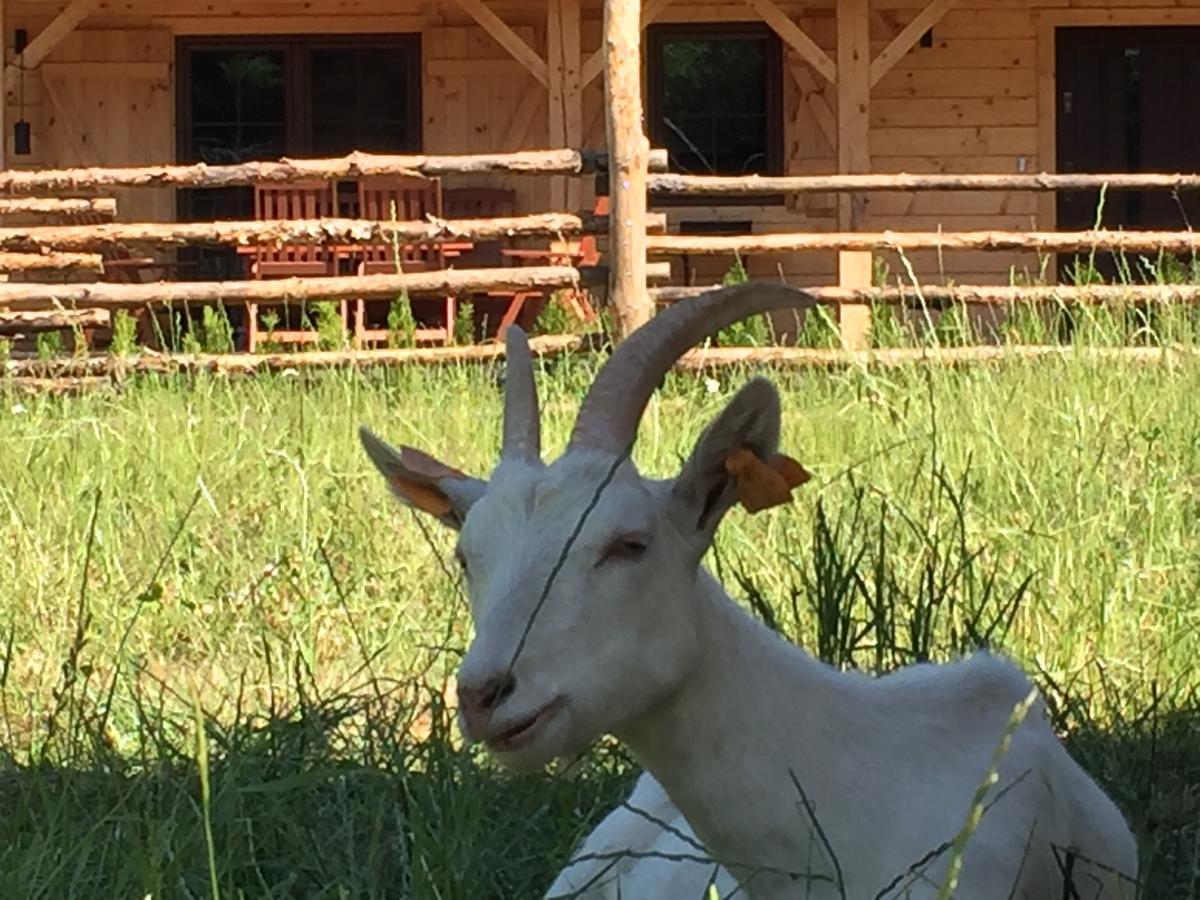 Villa Wypoczynek Na Mazurach U Sebka Łukta Esterno foto
