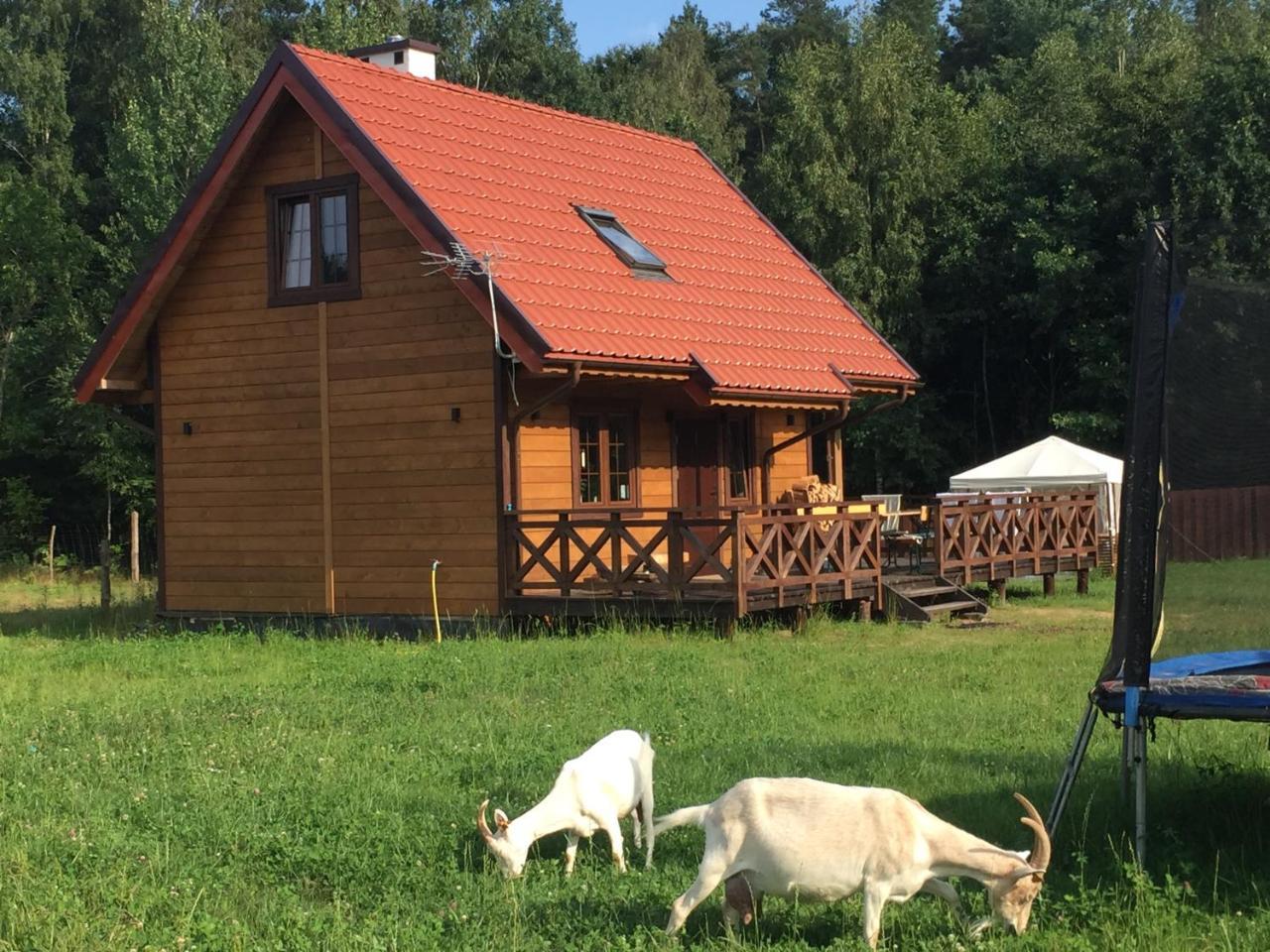 Villa Wypoczynek Na Mazurach U Sebka Łukta Esterno foto