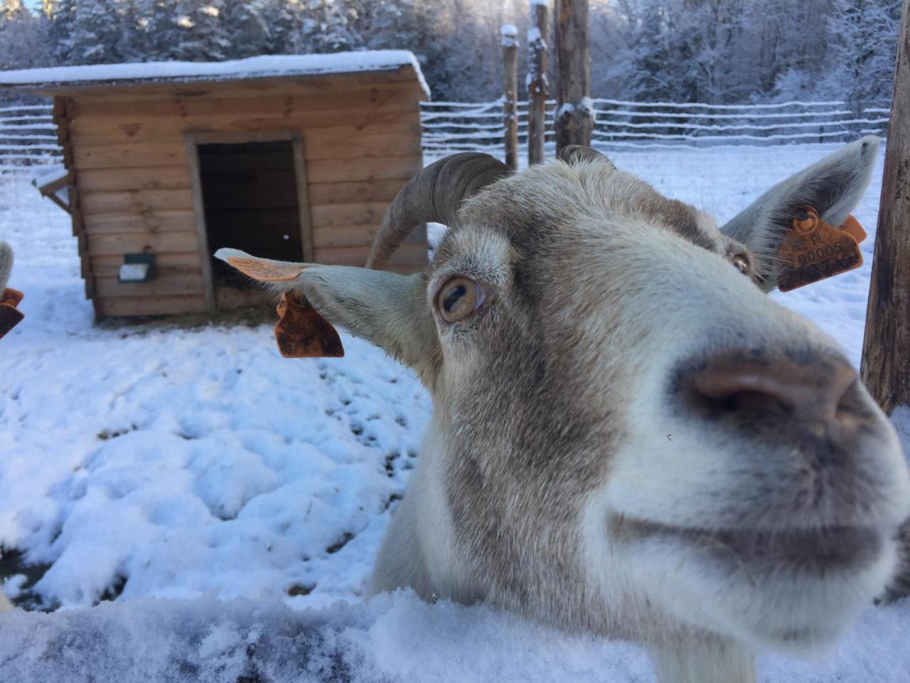 Villa Wypoczynek Na Mazurach U Sebka Łukta Esterno foto