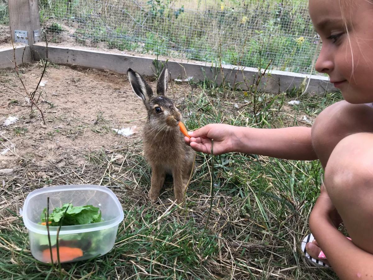 Villa Wypoczynek Na Mazurach U Sebka Łukta Esterno foto